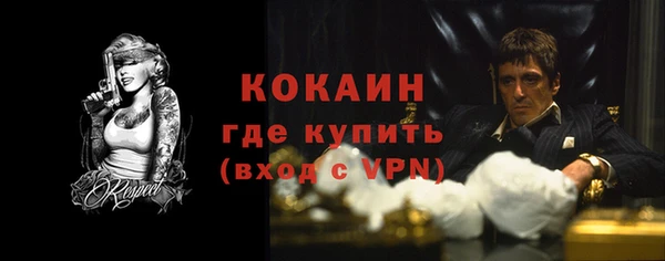 твердый Аркадак