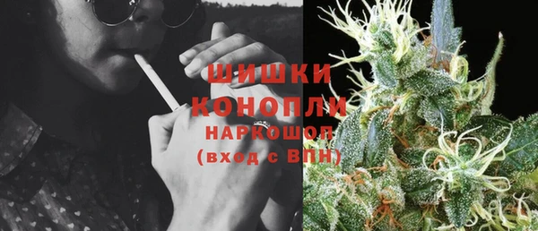твердый Аркадак