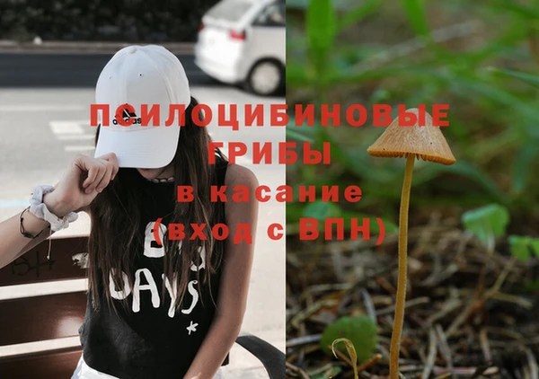 твердый Аркадак