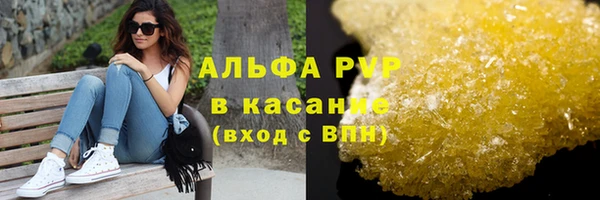 твердый Аркадак