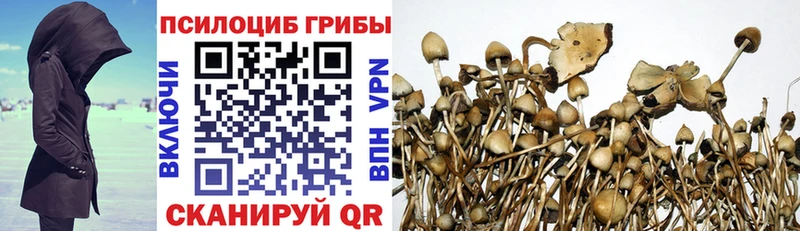 Псилоцибиновые грибы GOLDEN TEACHER  ОМГ ОМГ маркетплейс  Сосенский 